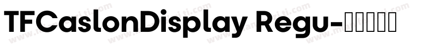 TFCaslonDisplay Regu字体转换